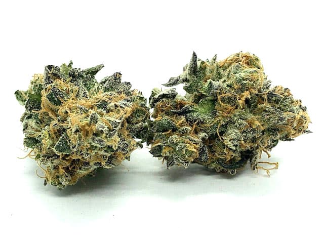 Orangeade Strain Flower - Sativa Dominant Hybrid