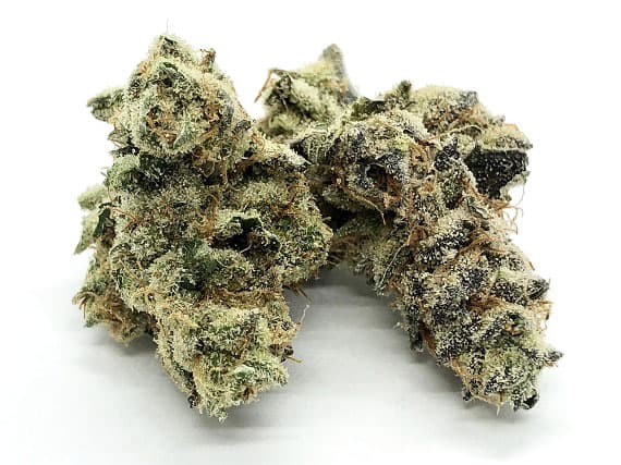 Banana Punch Strain Flower - Indica Dominant Hybrid