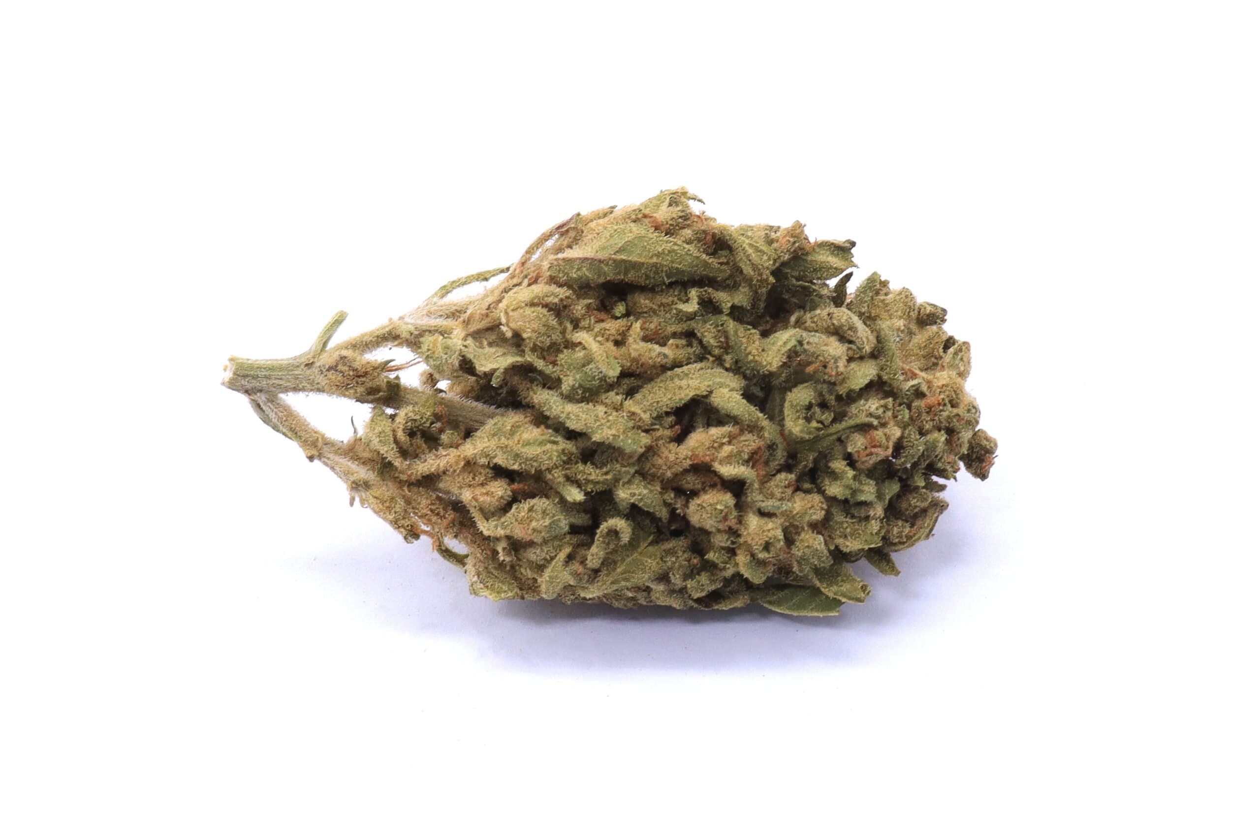 Island Maui Haze Strain Flower - Hybrid