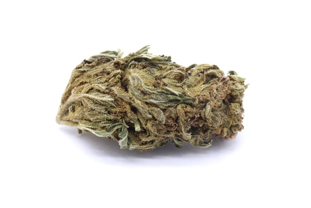 Tangie Strain - Greenhouse Flower - Hybrid