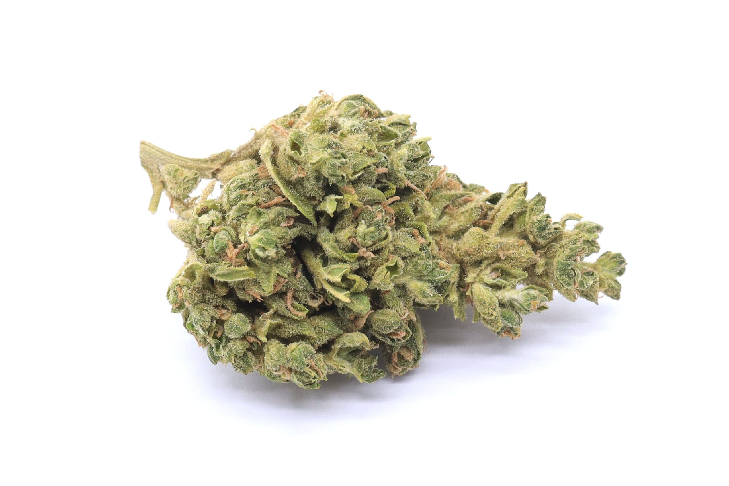 Lemon Cookies Strain Flower - Hybrid