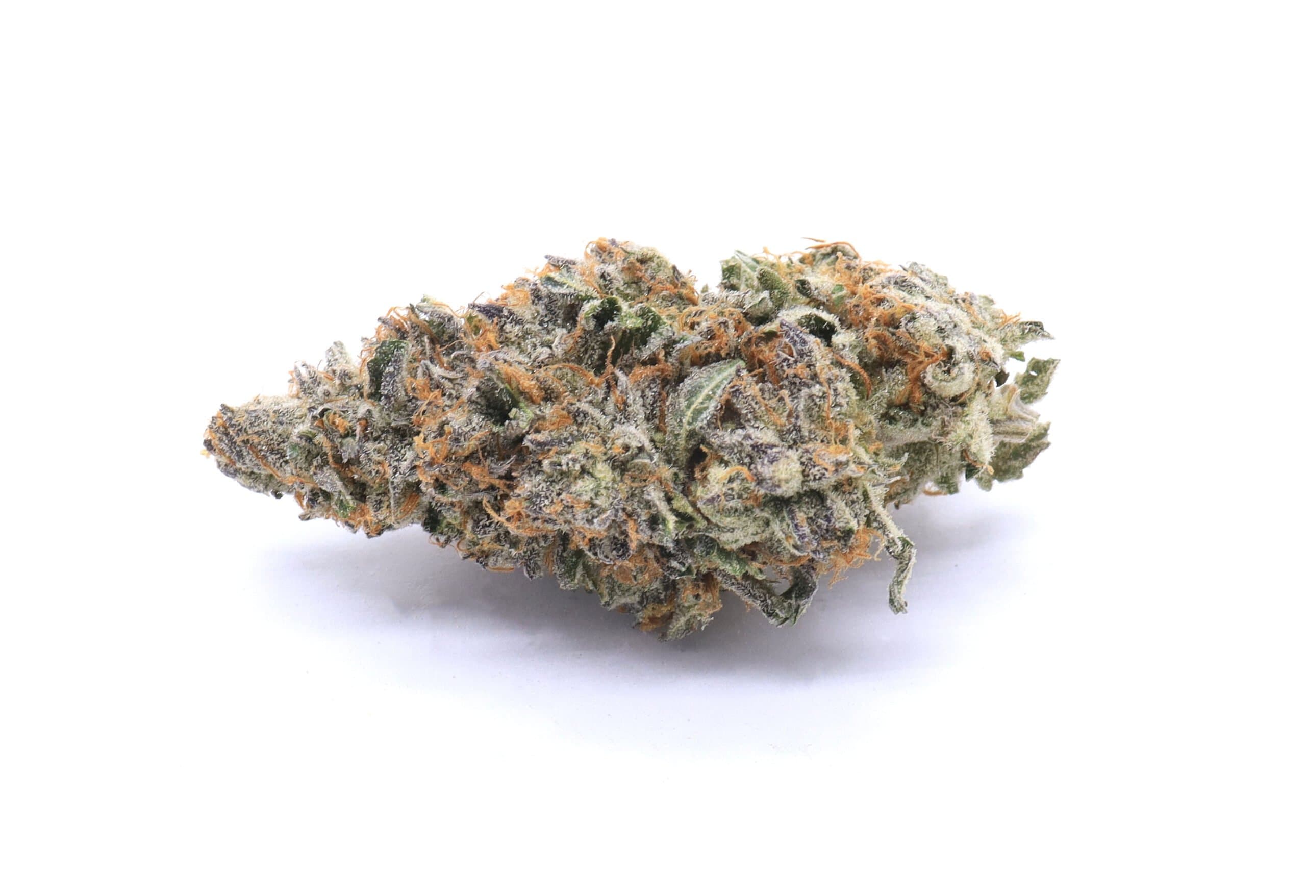 High Society Strain Flower - Hybrid