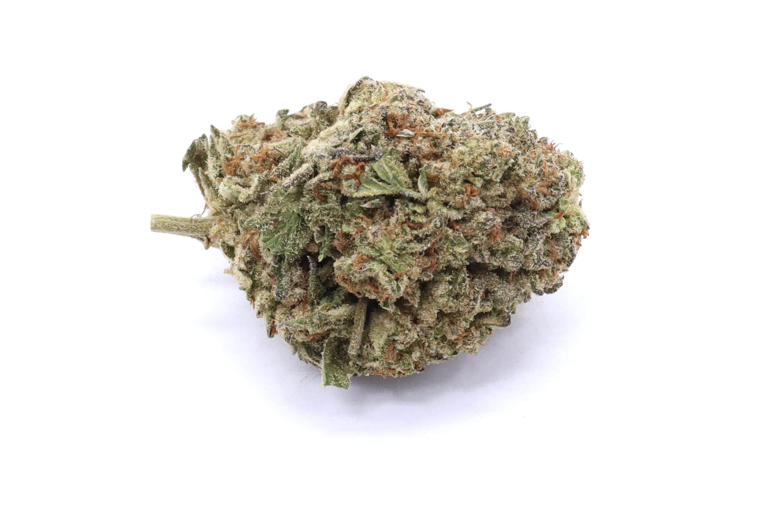 Northern Lights X Skunk Strain Flower - Indica Dominant Hybrid
