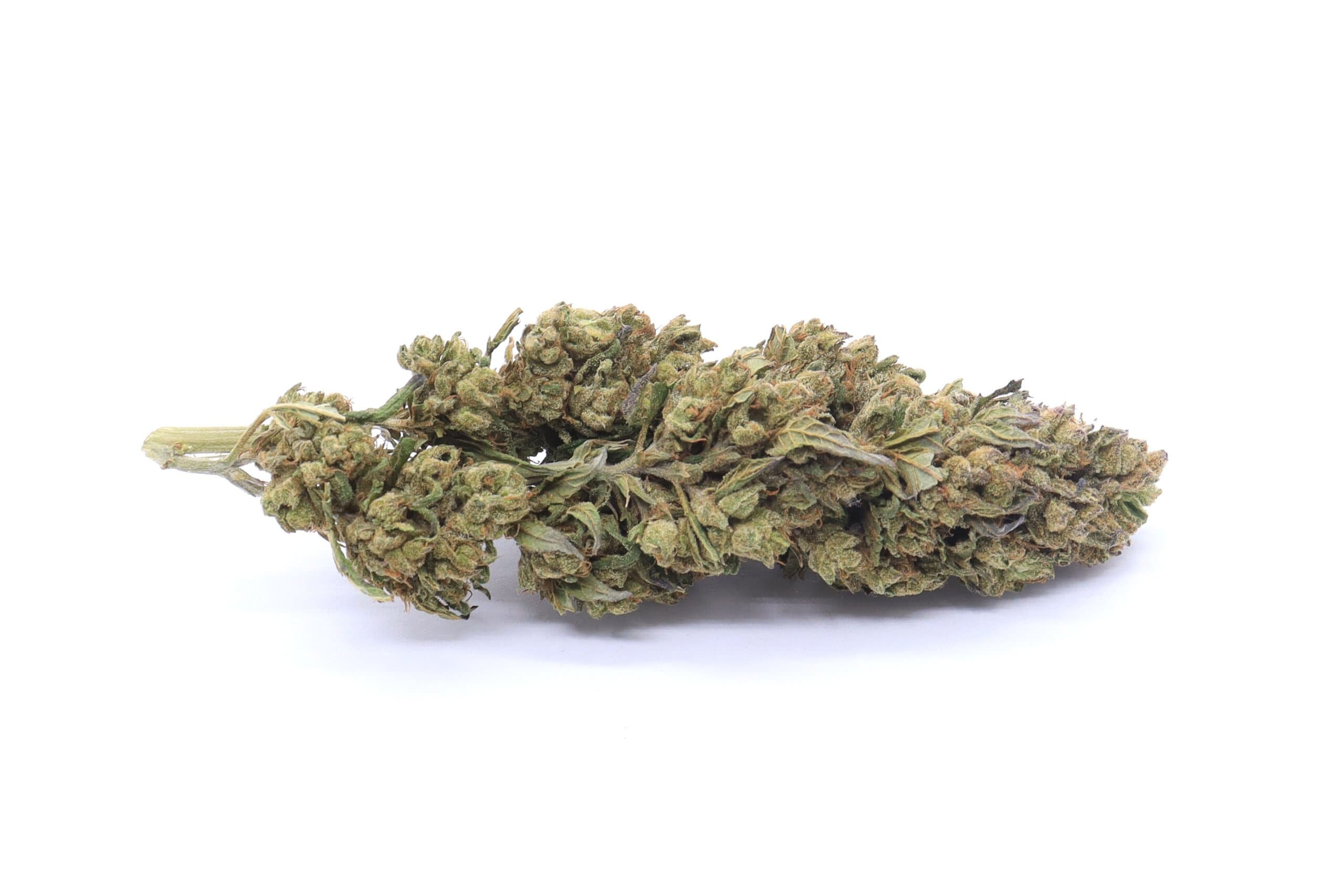Alaskan Thunder Fuck Strain Flower - Sativa