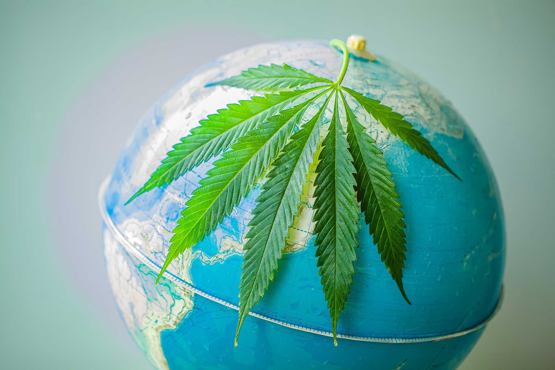 Top 12 Destinations for Cannabis Lovers
