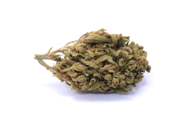 Island Maui Haze Strain Flower - Hybrid