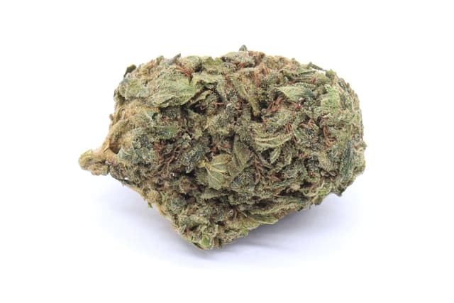 Dirty Girl Strain Small Buds - Sativa Dominant Hybrid
