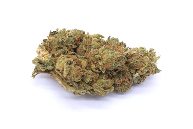 Mango Dream Strain Flower - Hybrid