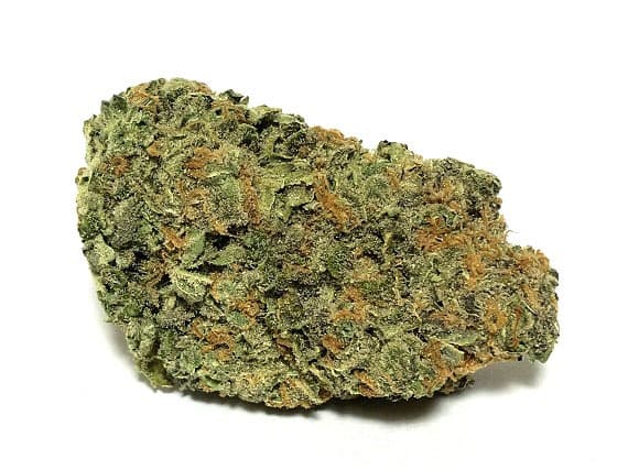 Pineapple Express Strain - Sativa Dominant Hybrid (Wholesale)