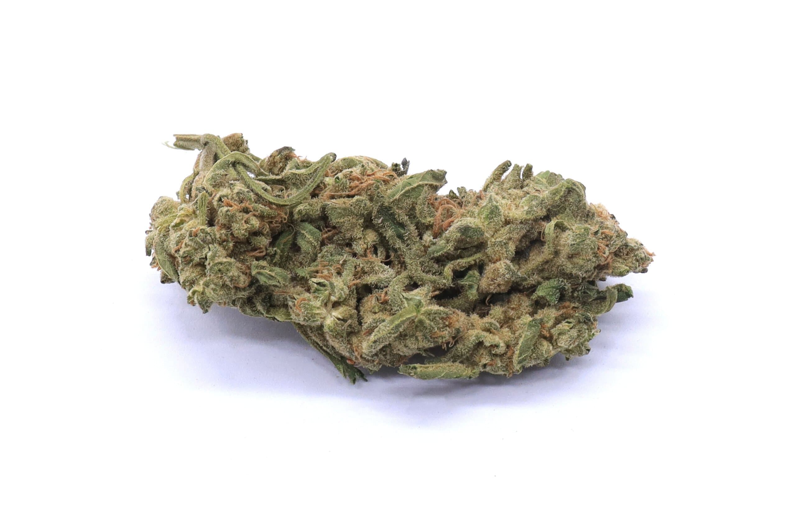 Laughing Buddha Strain Flower - Sativa Dominant Hybrid