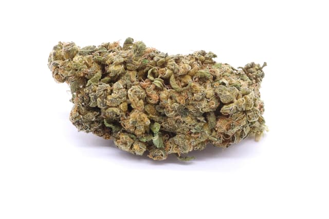 Golden Kush Strain Greenhouse Flower - Hybrid