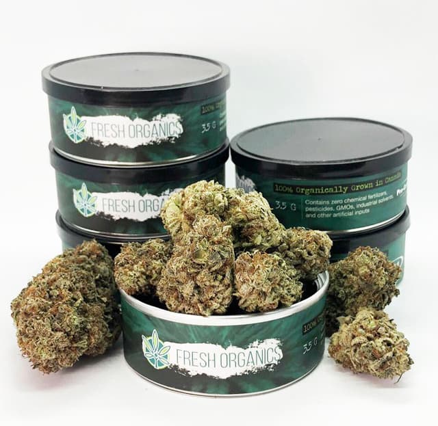 Sorbetto Strain - Hybrid (5 Star - Organic)