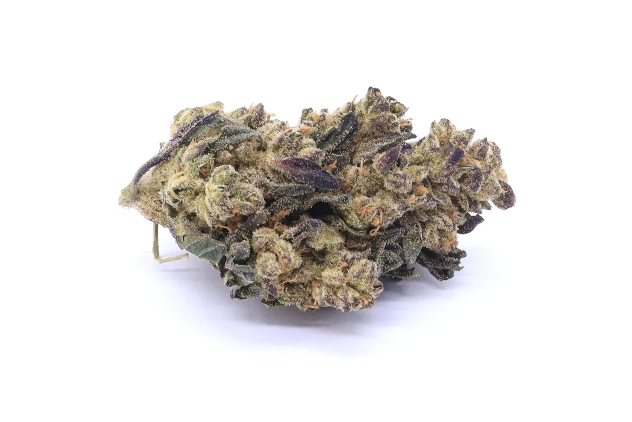 Grape Stomper Strain Flower - Sativa Dominant Hybrid