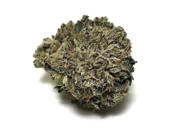 Blueberry Strain - Indica Dominant Hybrid (Wholesale)