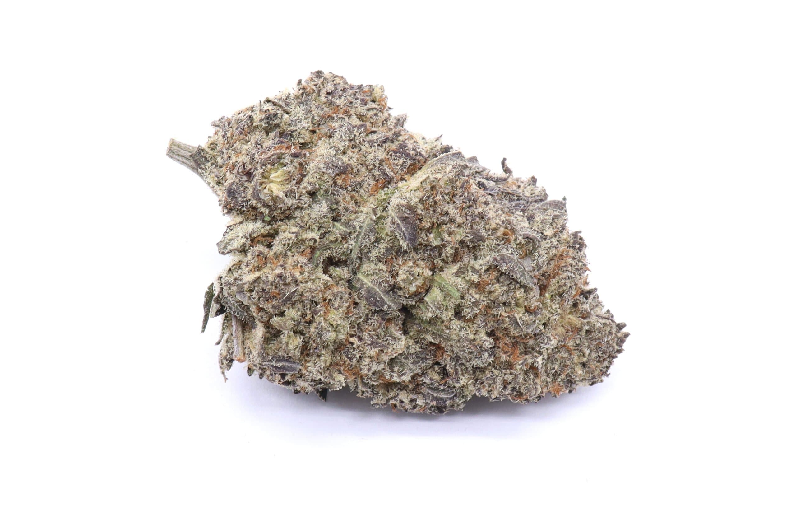 Sherblato Strain Flower - Sativa Dominant Hybrid