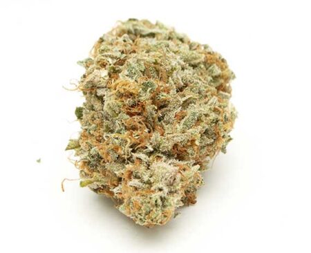 Kali Mist Strain - Sativa Dominant Hybrid (Wholesale)