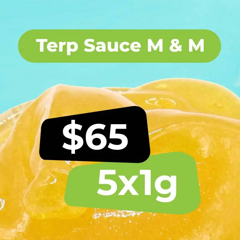 Terp Sauce Bundle - 5g
