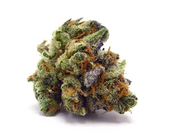 Kosher Kush Strain - Indica (Wholesale)
