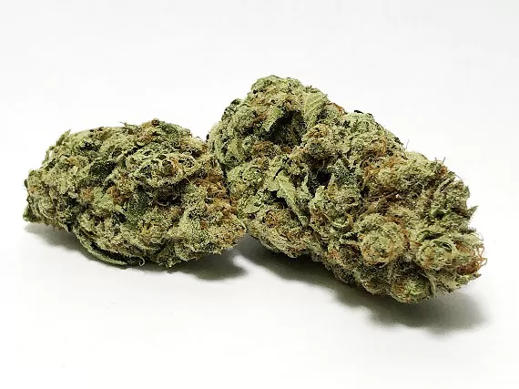 Nepali Temples Strain (5 Star) - Hybrid (Wholesale)