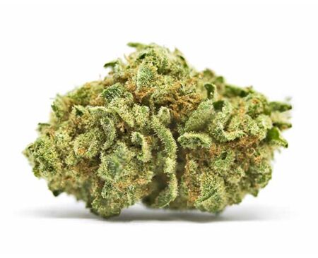 Lemonder Strain - Sativa Dominant Hybrid (Wholesale)
