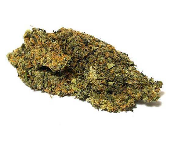 Charlotte's Web Strain - Indica Dominant Hybrid (Wholesale)