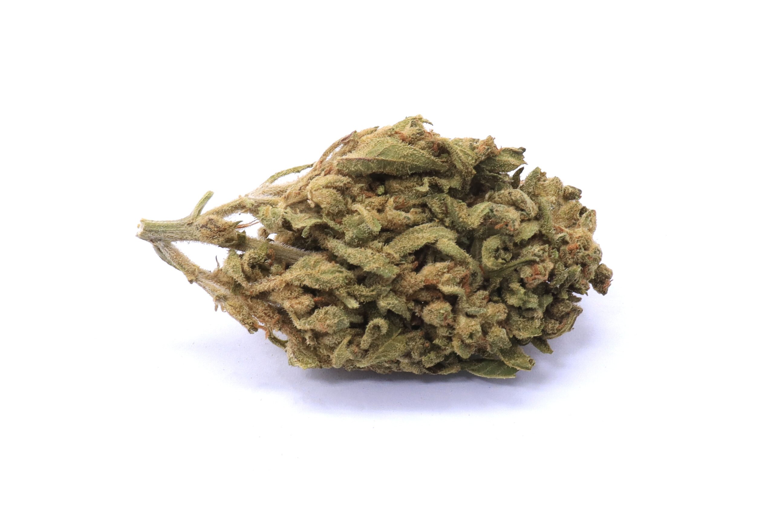 Island Maui Haze Strain Flower - Hybrid