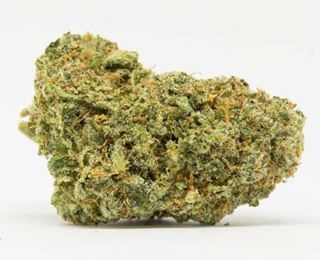 Lamb's Bread Strain - Sativa Dominant Hybrid (Wholesale)