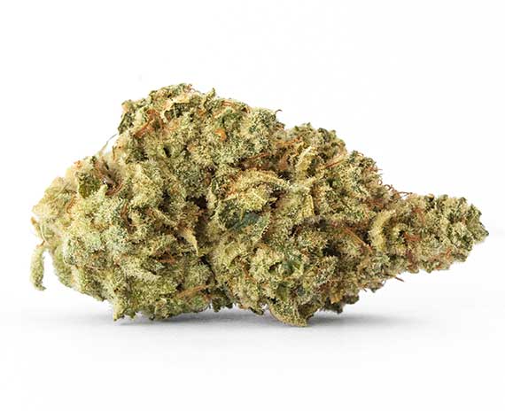 Pineapple Cookies Strain - Indica Dominant Hybrid (Wholesale)