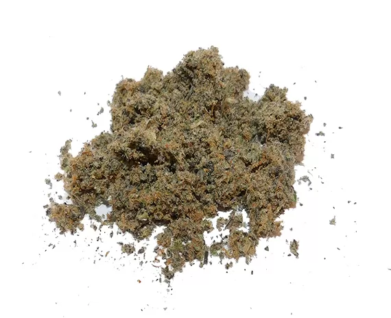 Blue Iguana Strain - Premium Grade Shake - Hybrid