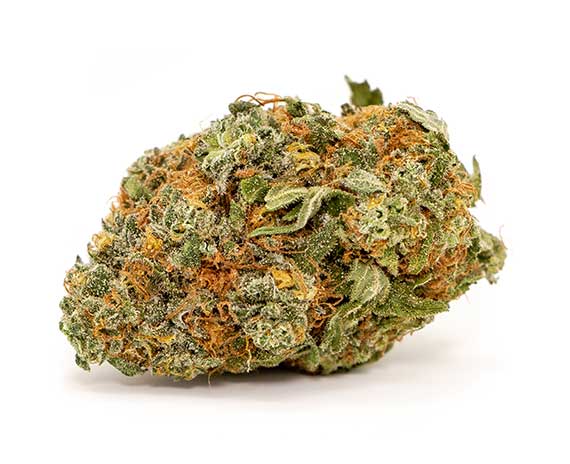 Northern Lights Strain - Indica (Wholesale)
